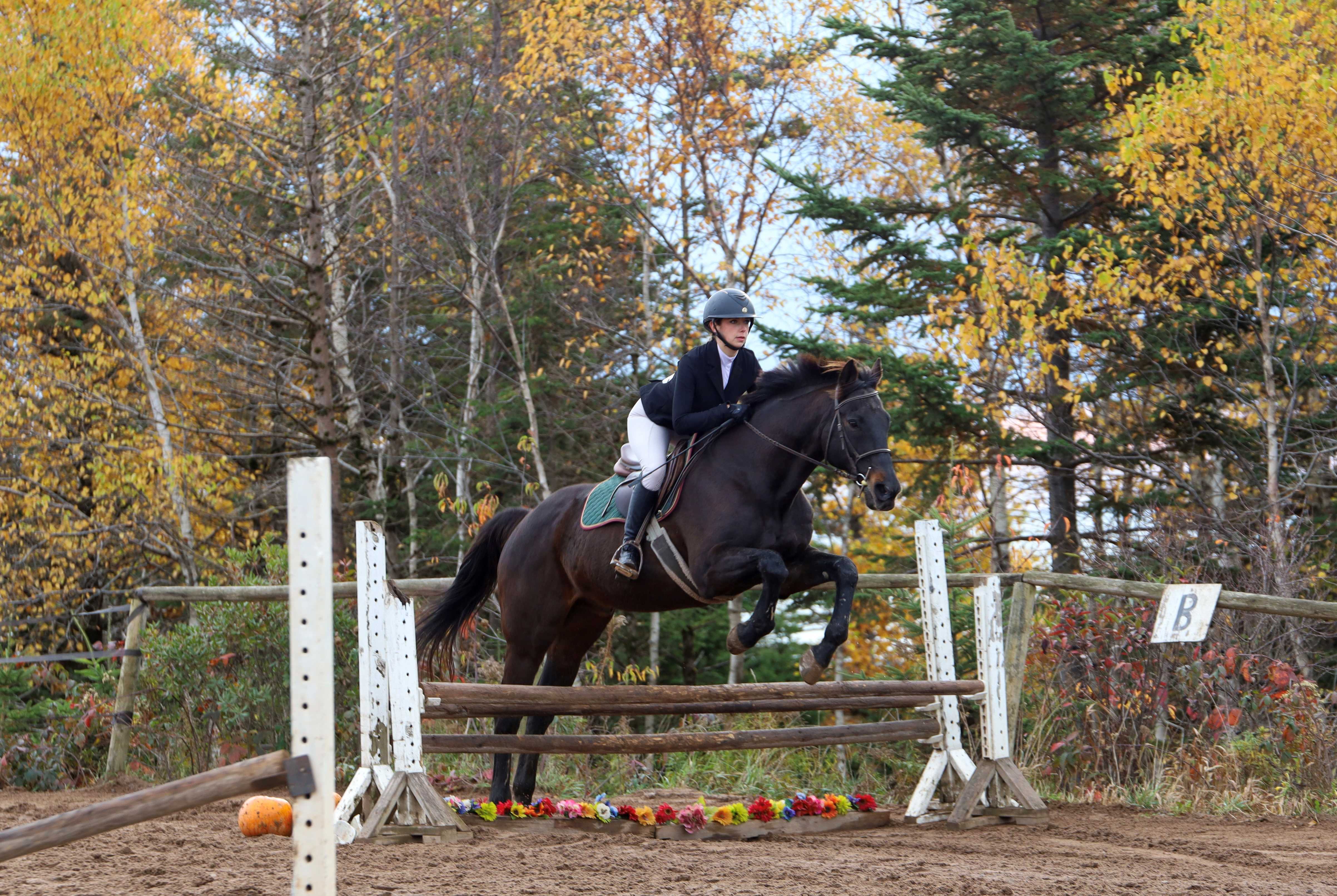 Equestrian 26 27