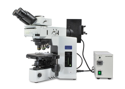 Olympus BX51